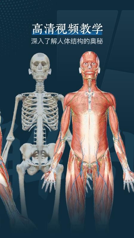 人体解剖3d官方版v1.7 2