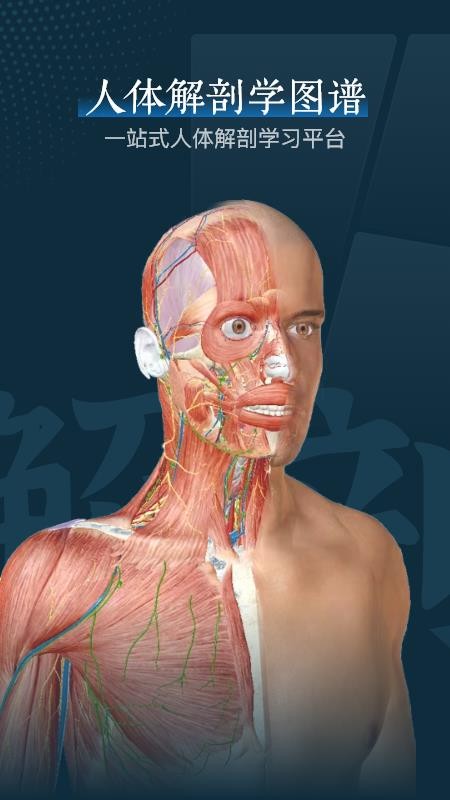 人体解剖3d官方版v1.7 4