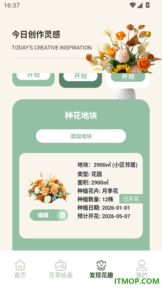 插花高手达人免费版