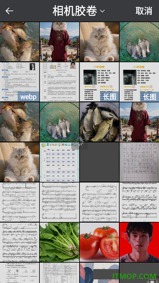 压图pro官方版