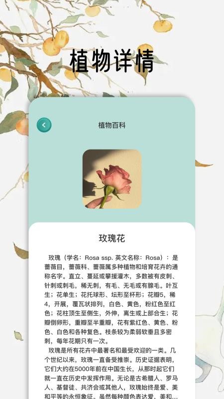 花草秒识别v1.9 2