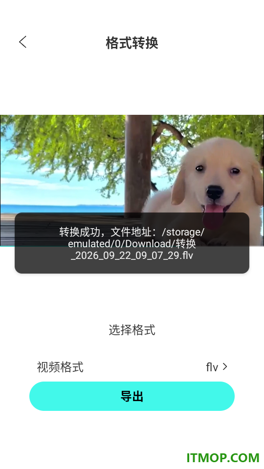 Scene工具箱最新版