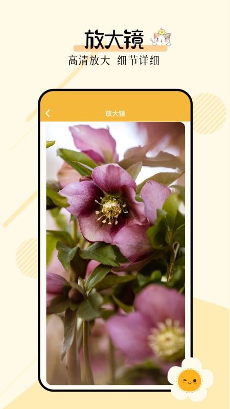 多功能小组件最新版v1.2(1)