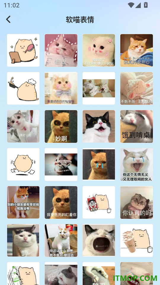 灵猫日常免费版