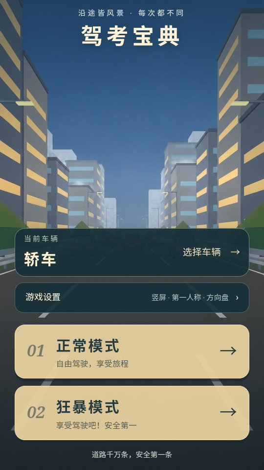驾考宝典公路之王游戏v1.0(1)
