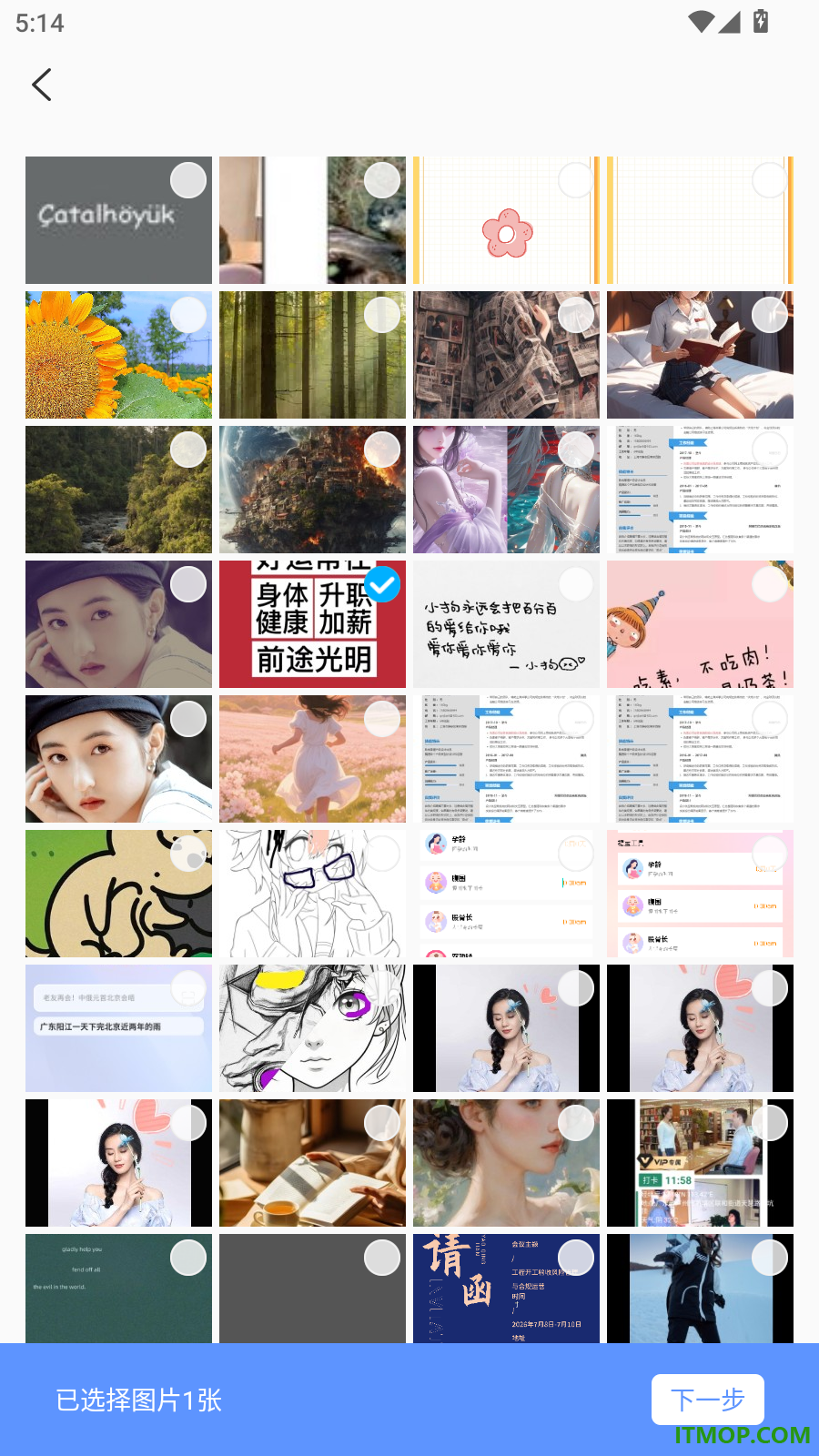 訲释翻译免费版