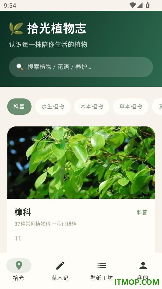 草木时光集最新版