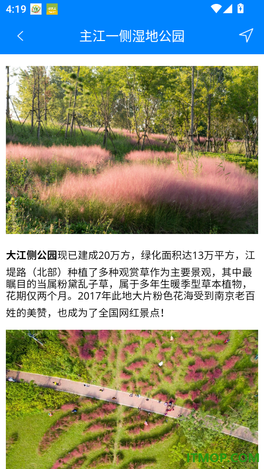 洲岛服务官方版