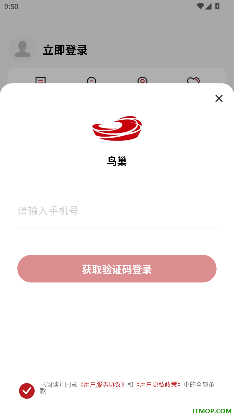 鸟巢官网版