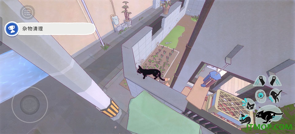 小猫咪大城市手机版