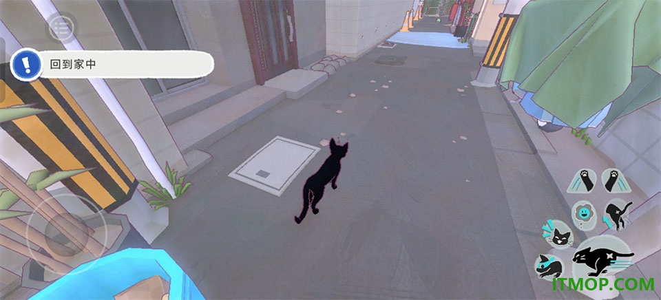 小猫咪大城市手机版
