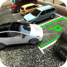 真实停车高手游戏 v1.0.0