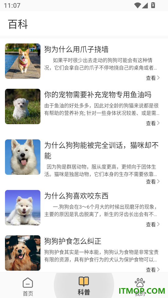 宠物记时手机版