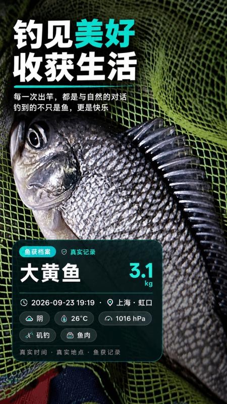 钓鱼战报与气压指数手机版v3.3.31(3)