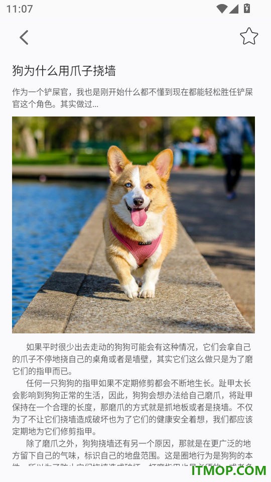 宠物记时手机版