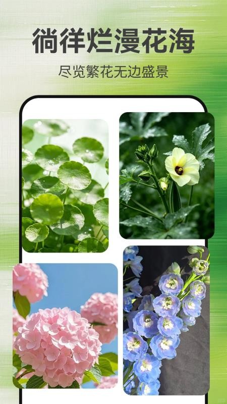 植物识别大师官方版v1.0.0(2)