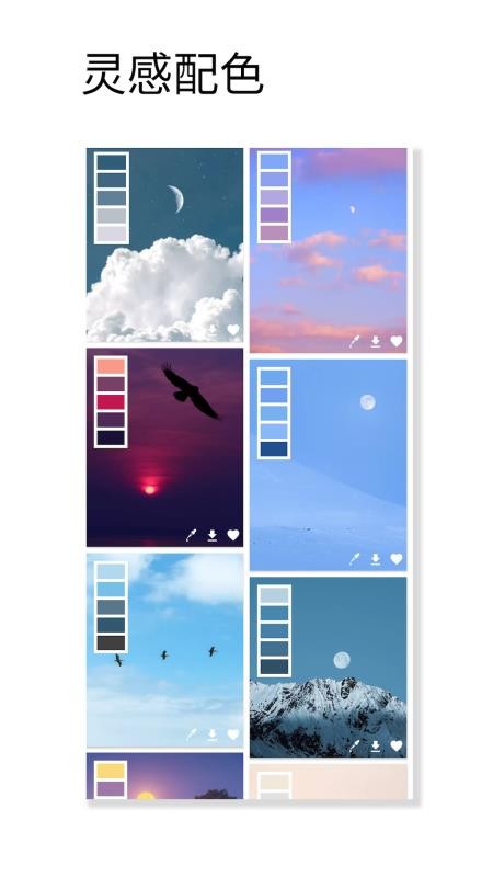 观色配色软件v1.071(2)