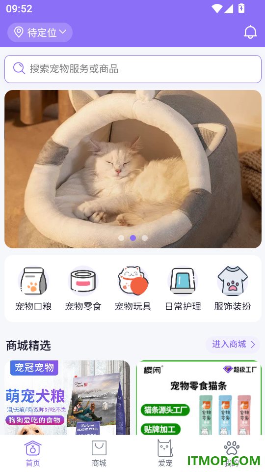 宠星免费版