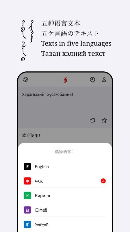 Abiya Translator手机版v1.0.8 3