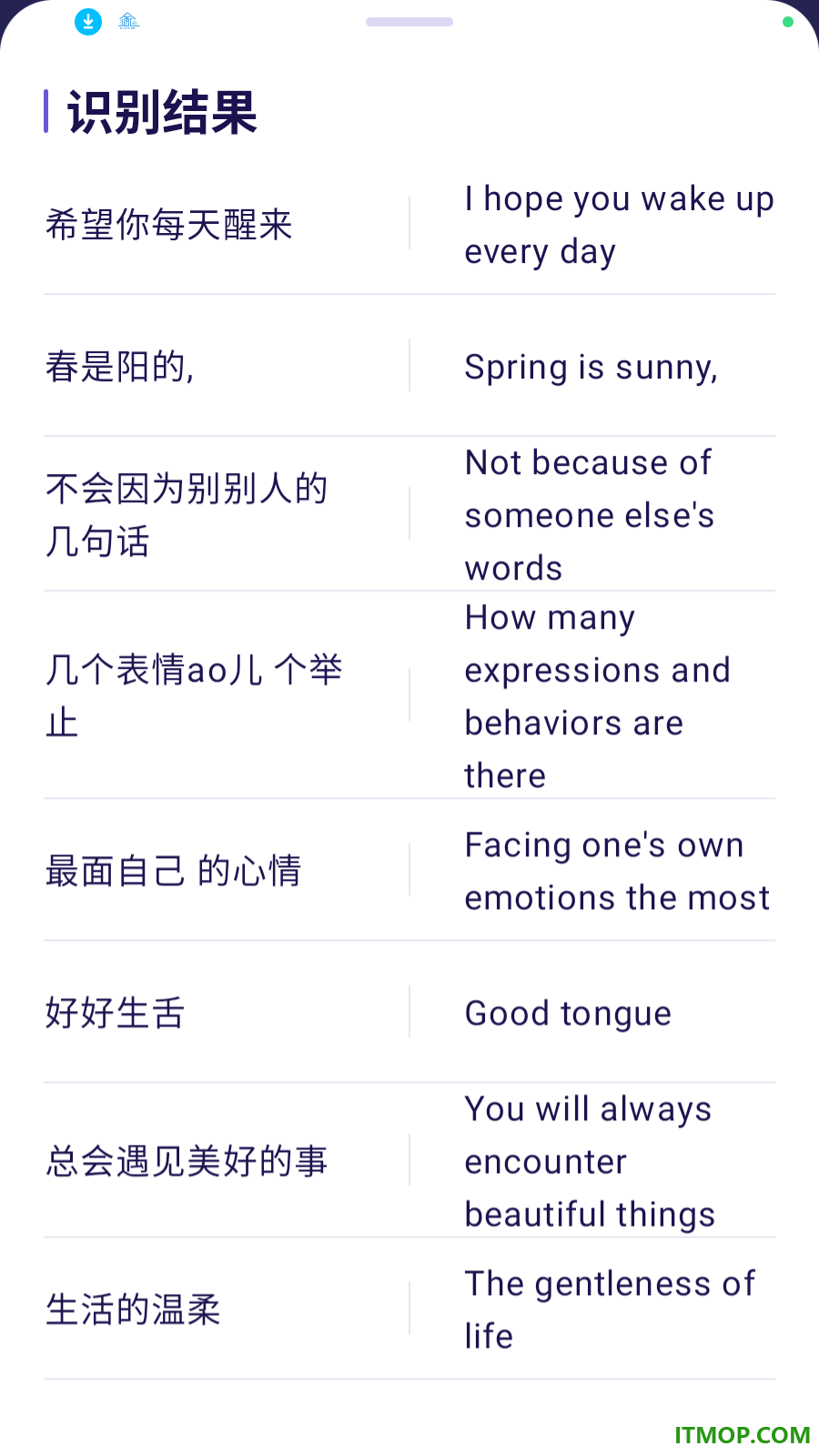 栖白翻译站官方版