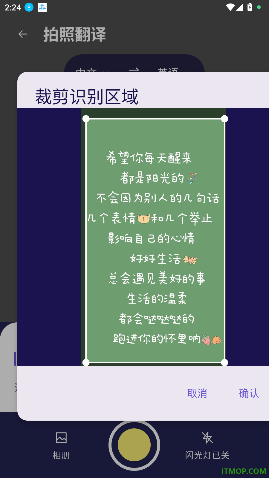 栖白翻译站官方版