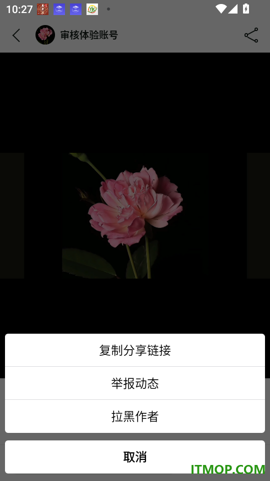 种点最新版