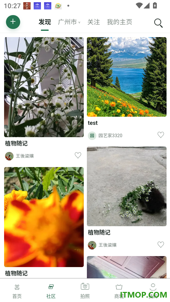 种点最新版