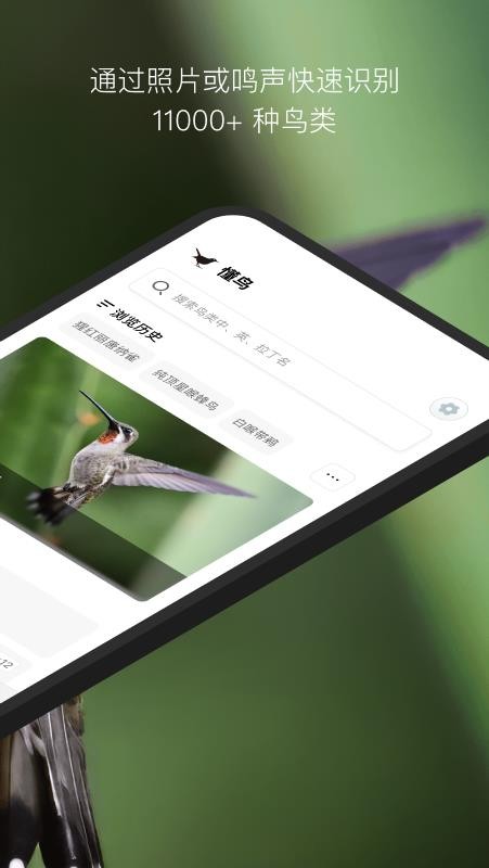懂鸟官方版v1.6.0(4)