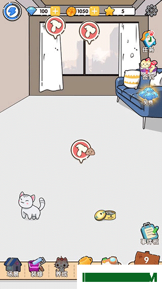 猫咪小舍小米版