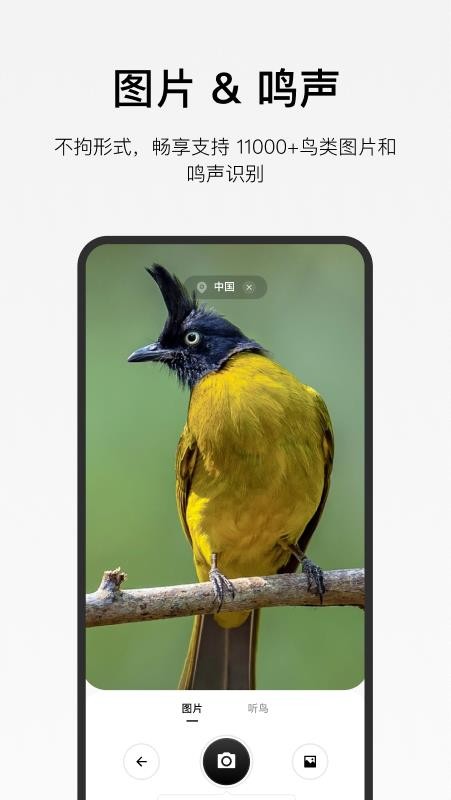 懂鸟官方版v1.6.0(3)