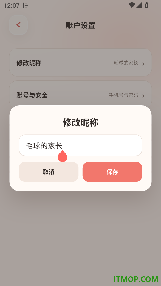 毛球在家最新版