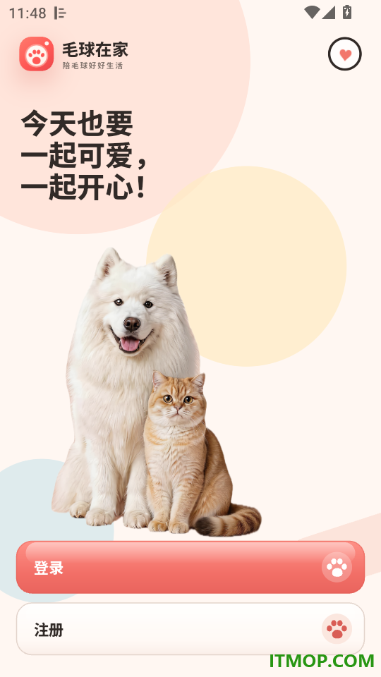 毛球在家最新版