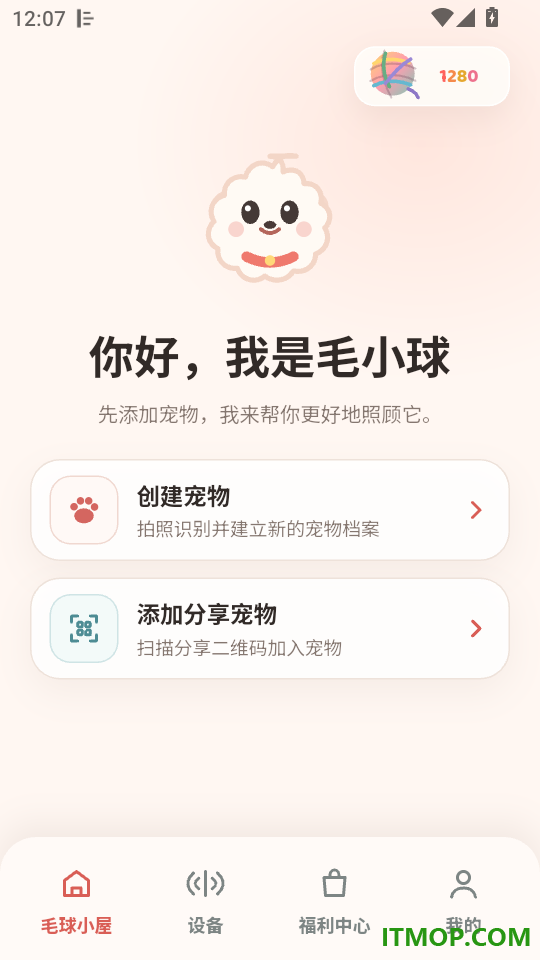 毛球在家最新版