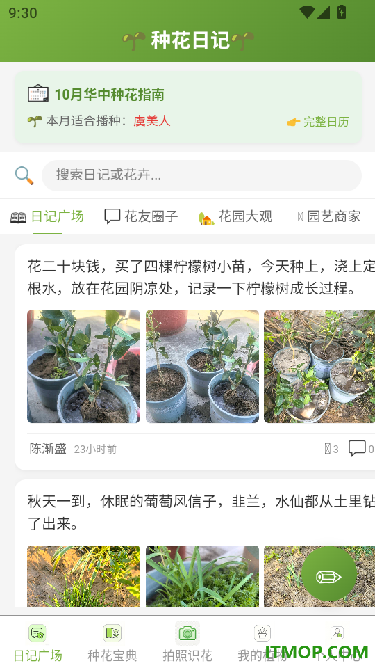 种花日记最新版