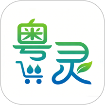 粤灵官网版