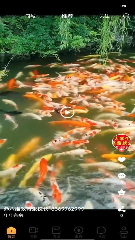 东东乐购官网版v1.0.7 2