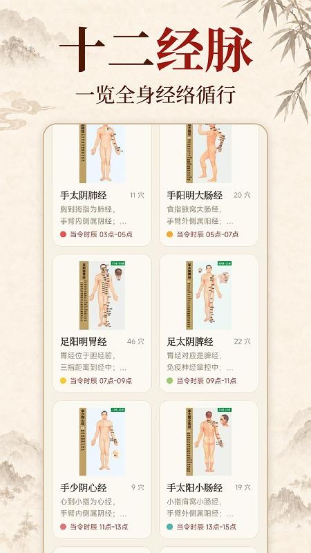 中华经络穴位客户端v1.0.0(3)