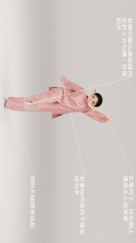 传统武术百家拳官网版v1.1 1