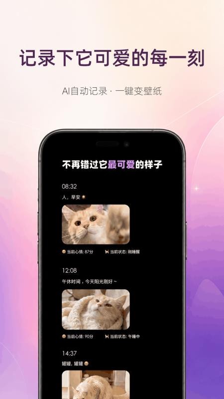 猫着吧最新版v4.0.13 3