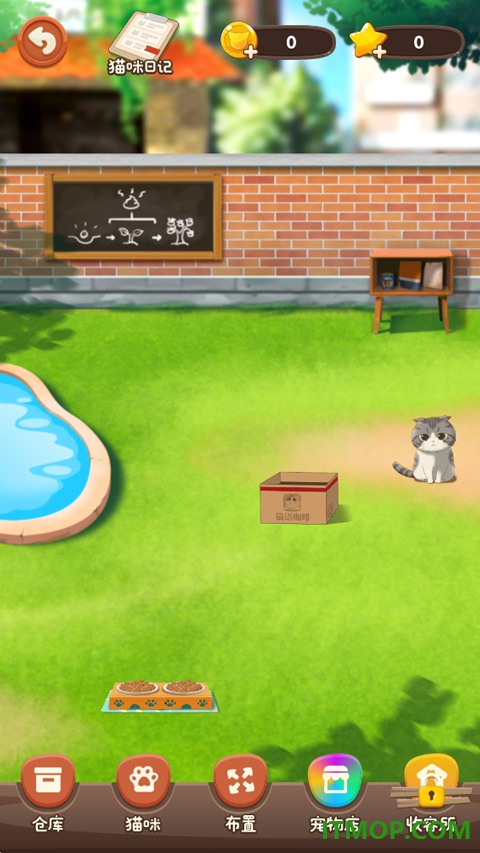 猫语咖啡游戏