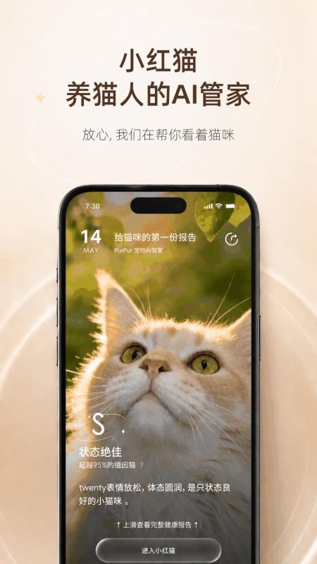 猫着吧最新版v4.0.13 4