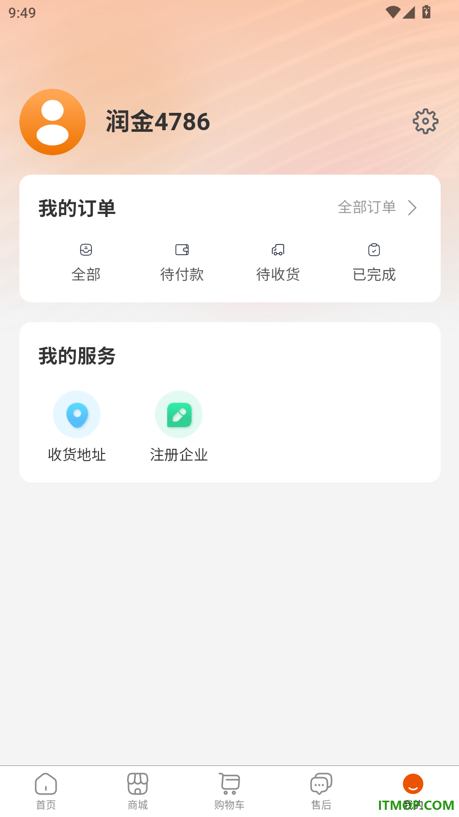 金维保官方版