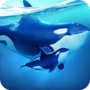 小小水世界游戏 v4.65.1