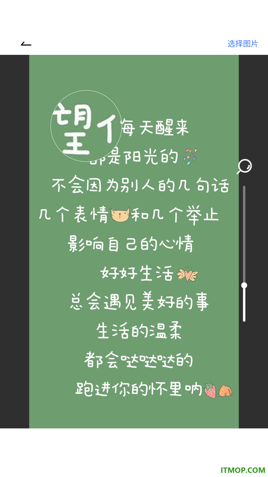 手机投屏电视高清看免费版