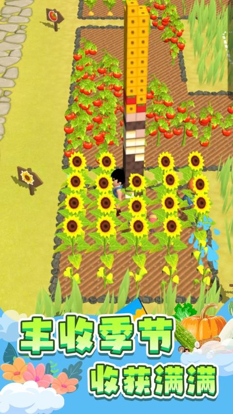我的岛屿经营游戏v1.1.2(2)