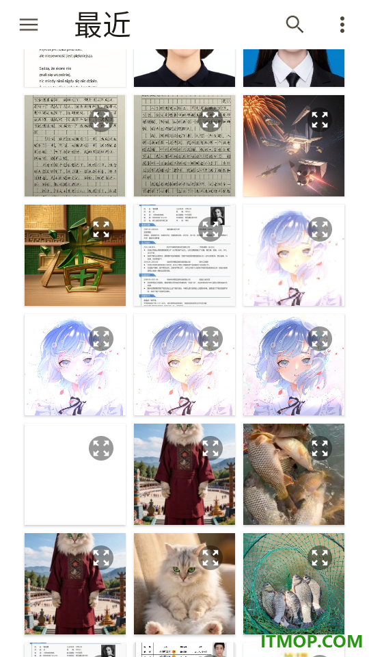 波兰翻译最新版