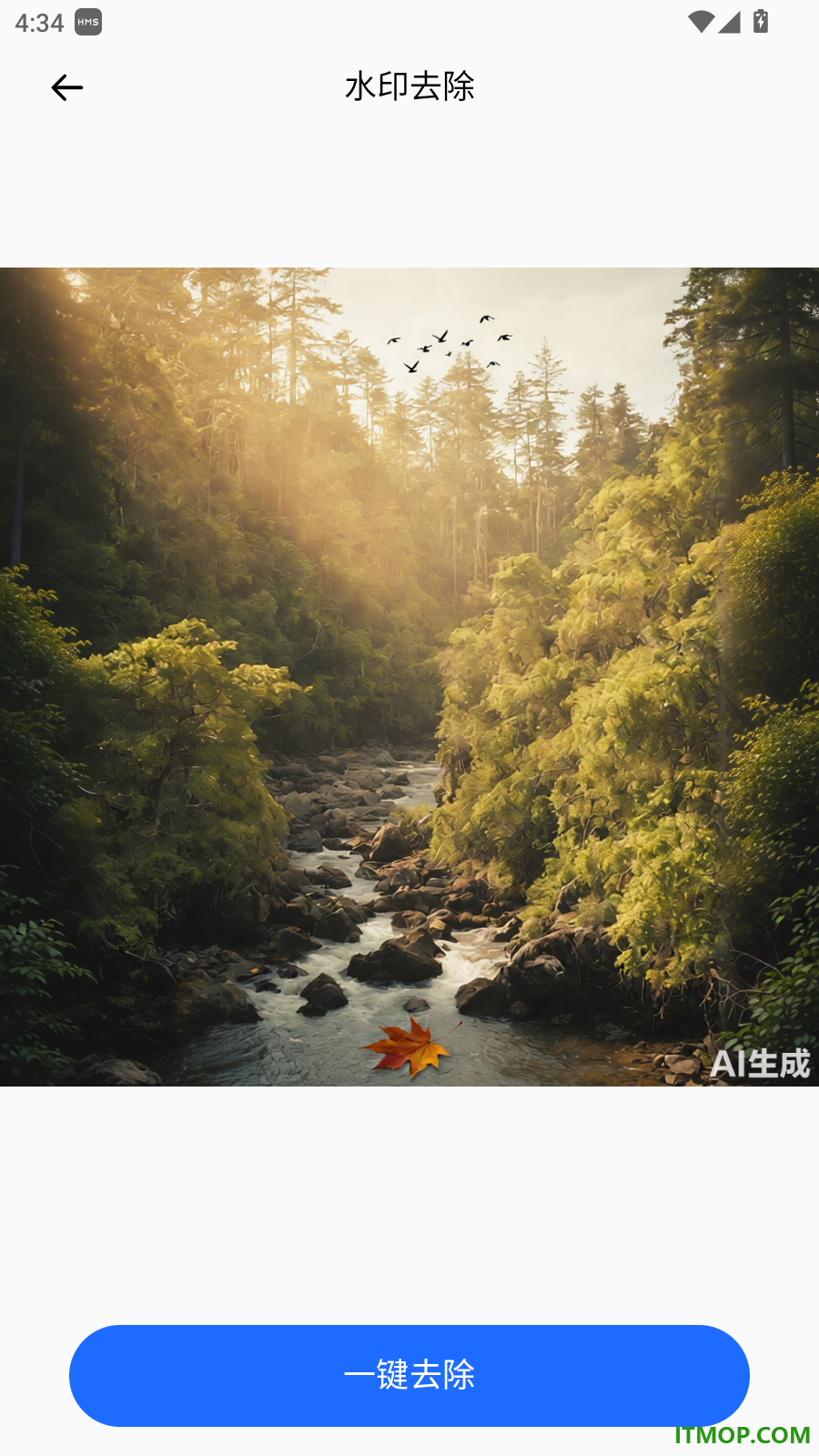 皮皮去水印新手机版