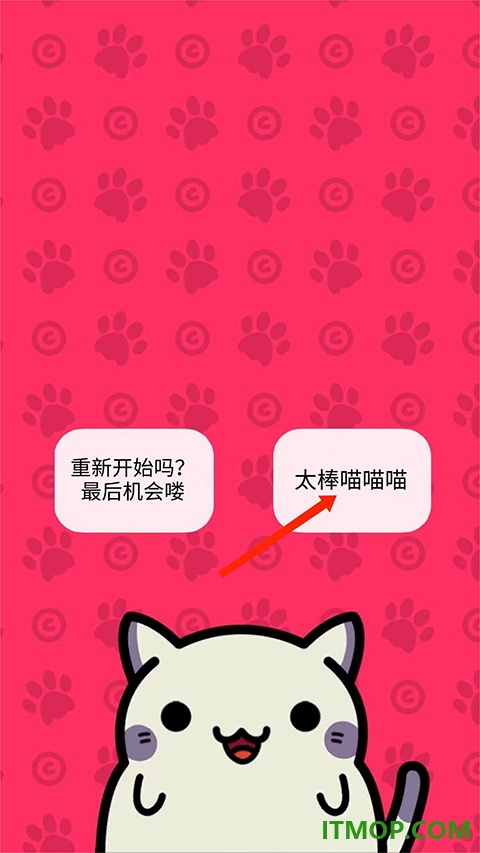 小偷猫游戏