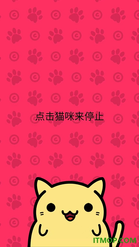 小偷猫游戏