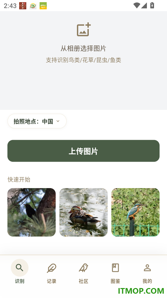 数毛官网版